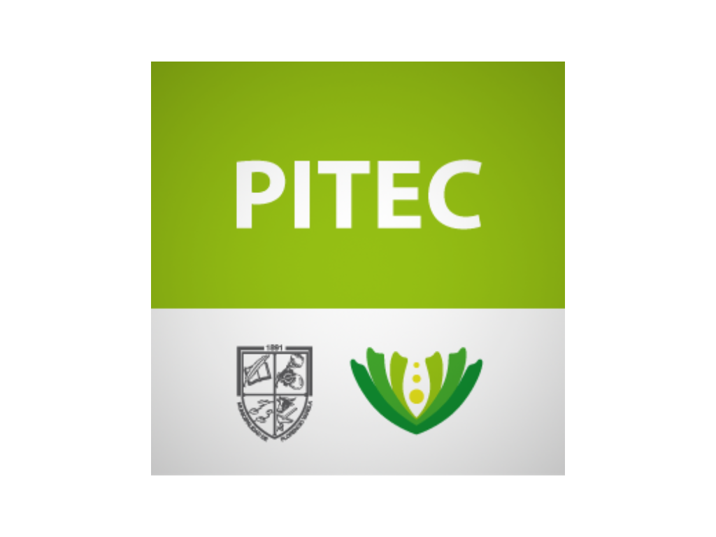 Pitec | Estructuras Metálicas TISI
